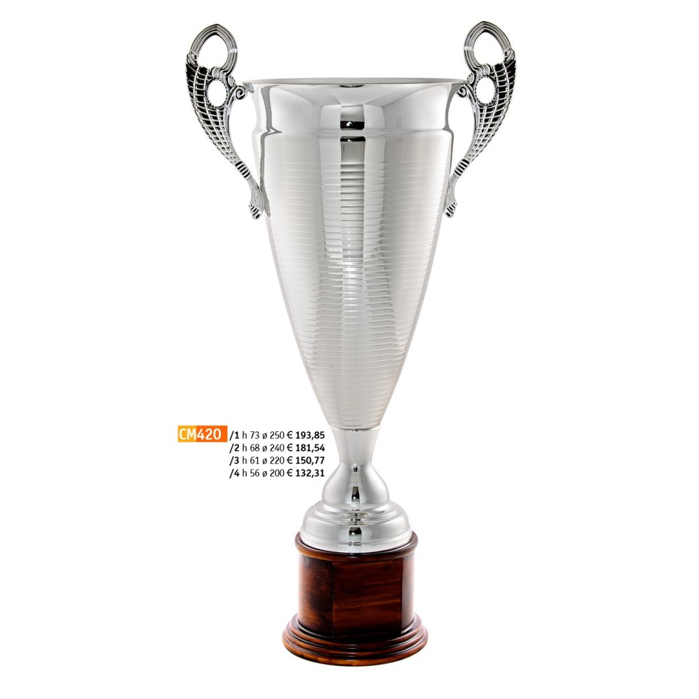 420 CM Cup "2015"