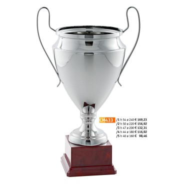 433 CM Cup "2015"