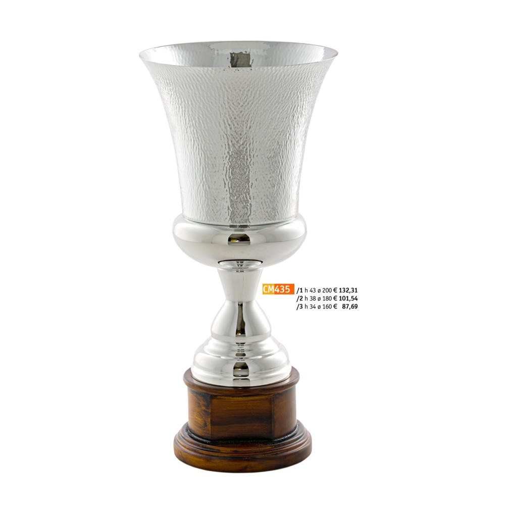 435 CM Cup "2015"