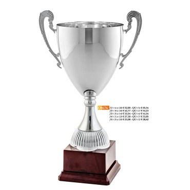 474 CM Cup "2015"