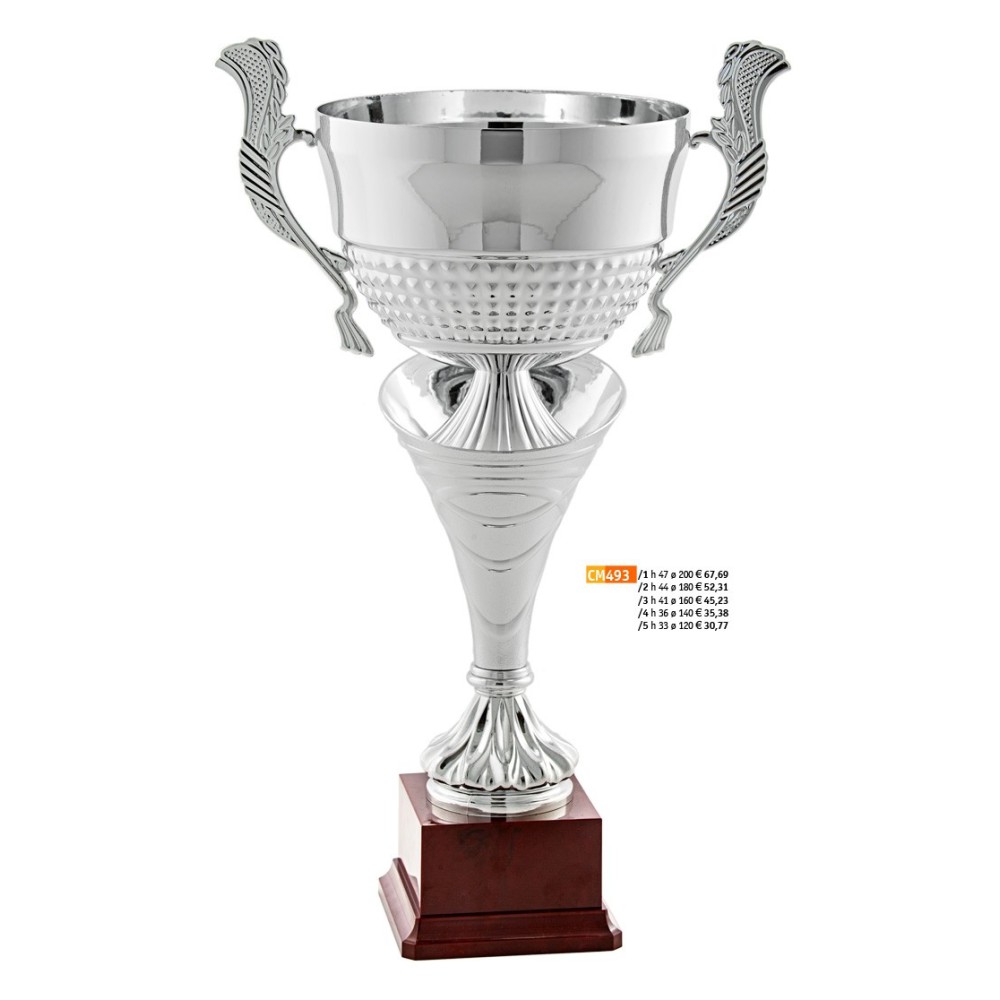 493 CM Cup "2015"