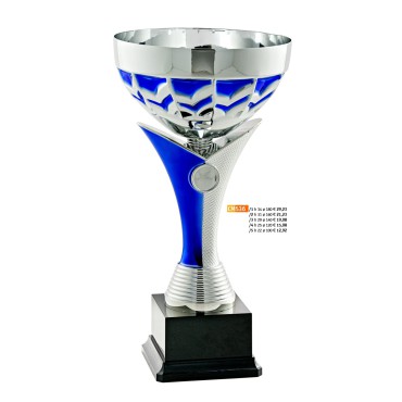 536 CM Cup "2015"